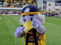Torquay United’s Plainmoor home gets ‘community asset’ status