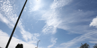 New street lights will save Bay millions