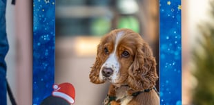 Christmas celebration with festive selfie boards.