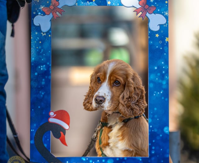 Christmas celebration with festive selfie boards.