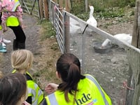 Nursery children explore farming 