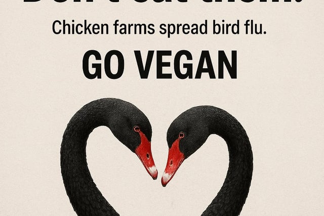 PETA's Dawlish billboard plan