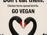 PETA's Dawlish billboard plan