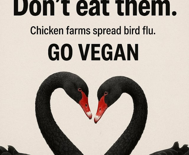 PETA's Dawlish billboard plan