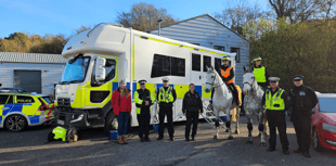 Devon police educate drivers on passing horses safely