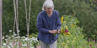 Adults transforming career prospects with free skills training