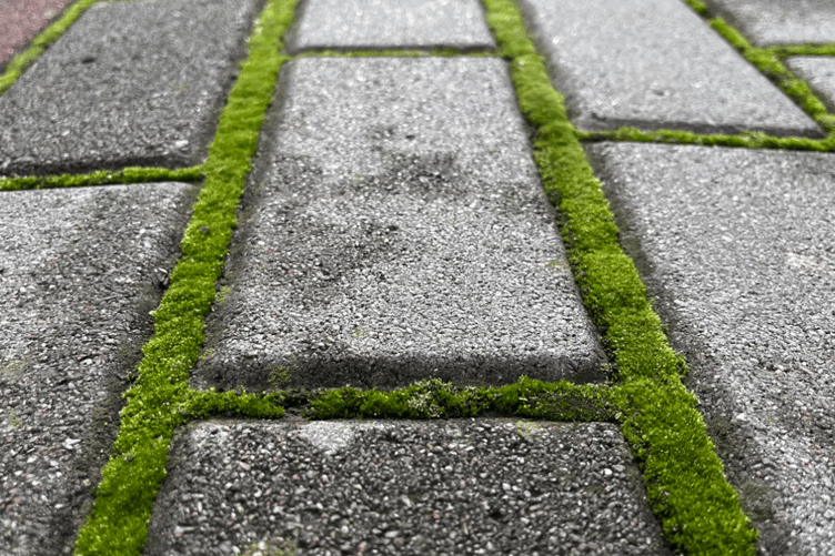 Pavement stock image