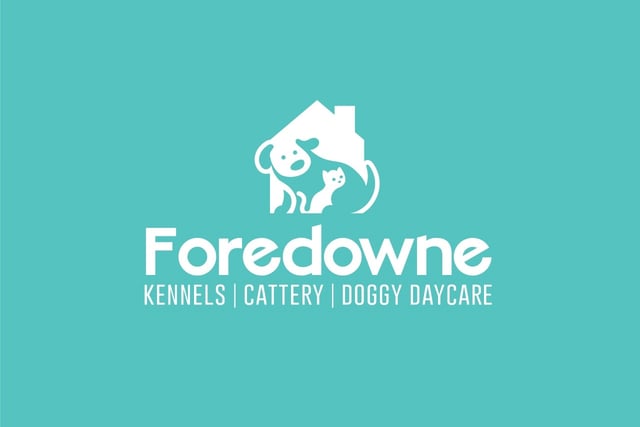 Parvovirus outbreak at Kingskerswell kennels