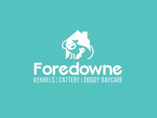 Parvovirus outbreak at Kingskerswell kennels