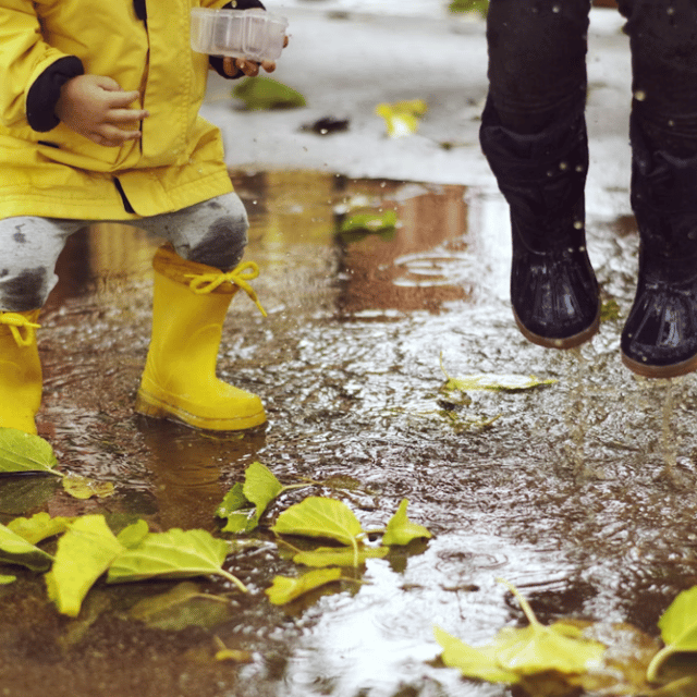 New campaign aims to recruit more foster carers