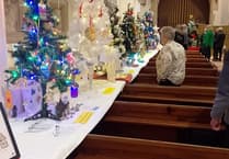 Visit Dawlish's Festive Tree Wonderland!