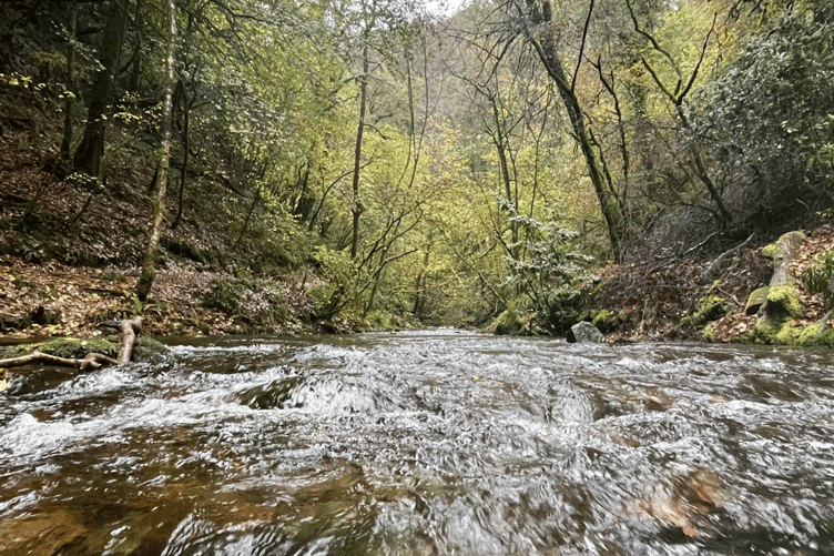 River Lyd, Devon