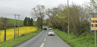 Bus crashes into tree causing delays on Teignmouth Road
