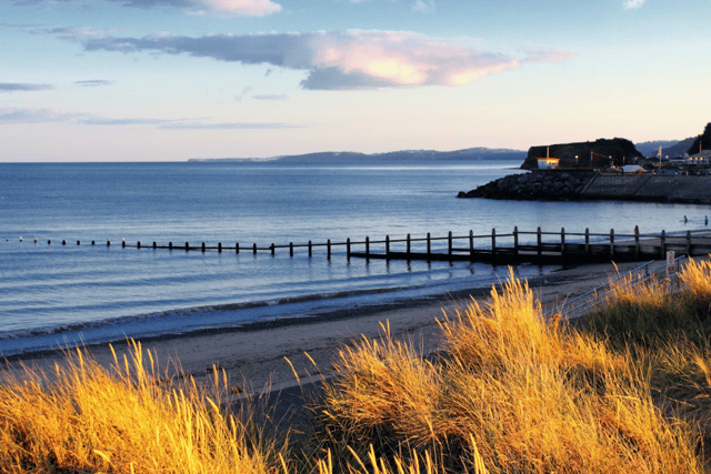 Body found on Teignbridge beach believed to be missing Exeter man