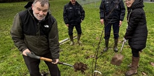 Mayor's tree planting celebrates Bloom success