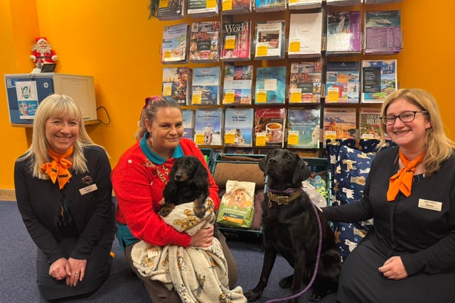 Kennels overwhelmed by donations