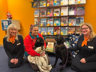 Kennels overwhelmed by donations