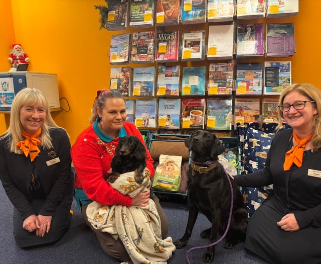 Kennels overwhelmed by donations