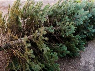 Essential Christmas Recycling Tips