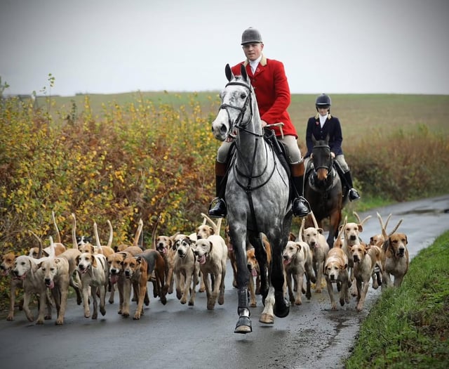 Devon hunts oppose trail hunting ban