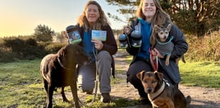 Devon Loves Dogs launches competition