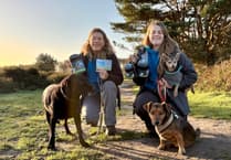 Join Devon Loves Dogs competition today