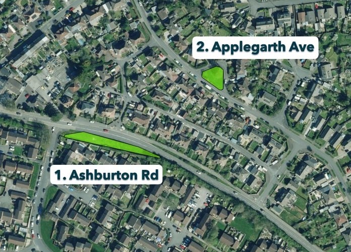 Two of eight verges in Newton Abbot earmarked for wildlife improvements. Photo Newton Abbot Town Council 