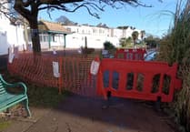 Black Swans of Dawlish breeding again