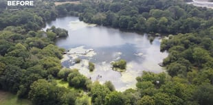 Teignbridge councillors defend woodland TPO