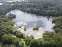 Campaigners fight to save trees in ‘exceptional’ woodland