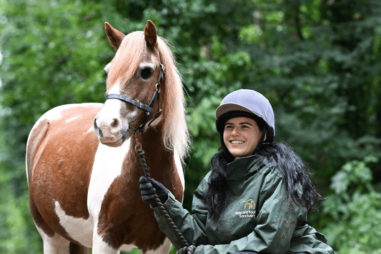 Mare and Foal Sanctuary