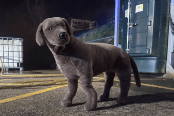 Newton Abbot Fire Station