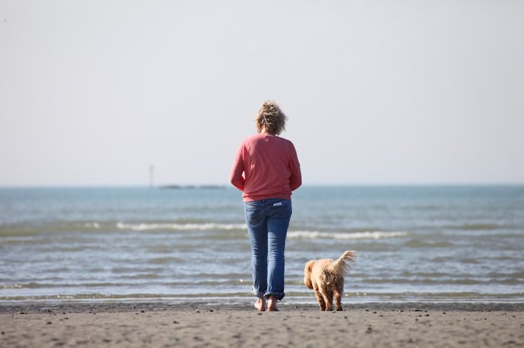 Dog licensing could return – it was abolished in 1987. The RSPCA is asking people for their views.