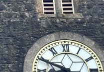 New swift nests in Newton Abbot