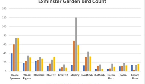 Bird count numbers down due to storms 