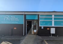 Mare and Foal Sanctuary shop to close in April