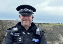 New gadget will curb Paignton seafront car pests