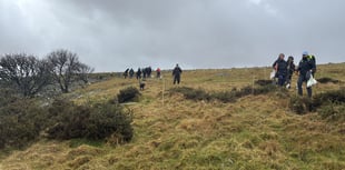 800 trees planted at Dartmoor reserve