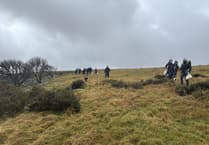 800 Trees Added at Dartmoor Reserve