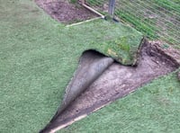 Kennels fundraiser to help stray dogs 