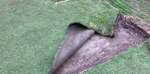 Kennels fundraiser to help stray dogs 