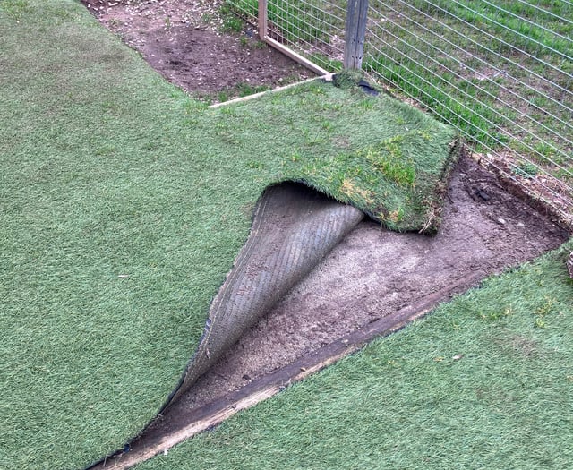 Kennels fundraiser to help stray dogs 