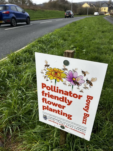 Greener roadside verges planned for Bovey Tracey. Photo Bovey Tracey Town Council