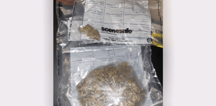 Police arrest woman for drug-driving after chase