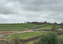 MP’s call for clarity over nature watchdog’s Wolborough choice