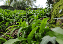 Council report sets out progress on protecting nature in Devon