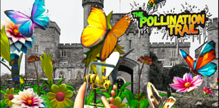 Augmented Reality wildlife trail launches Powderham Castle