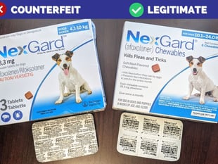 Vet warns pet owners of fake medicines