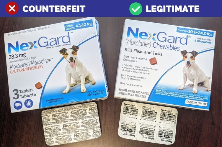 Newton Abbot vet warns of fake online pet medication. Photo contributed by Amity Vets. 