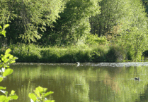 Devon sets out long-term plan to help nature recover